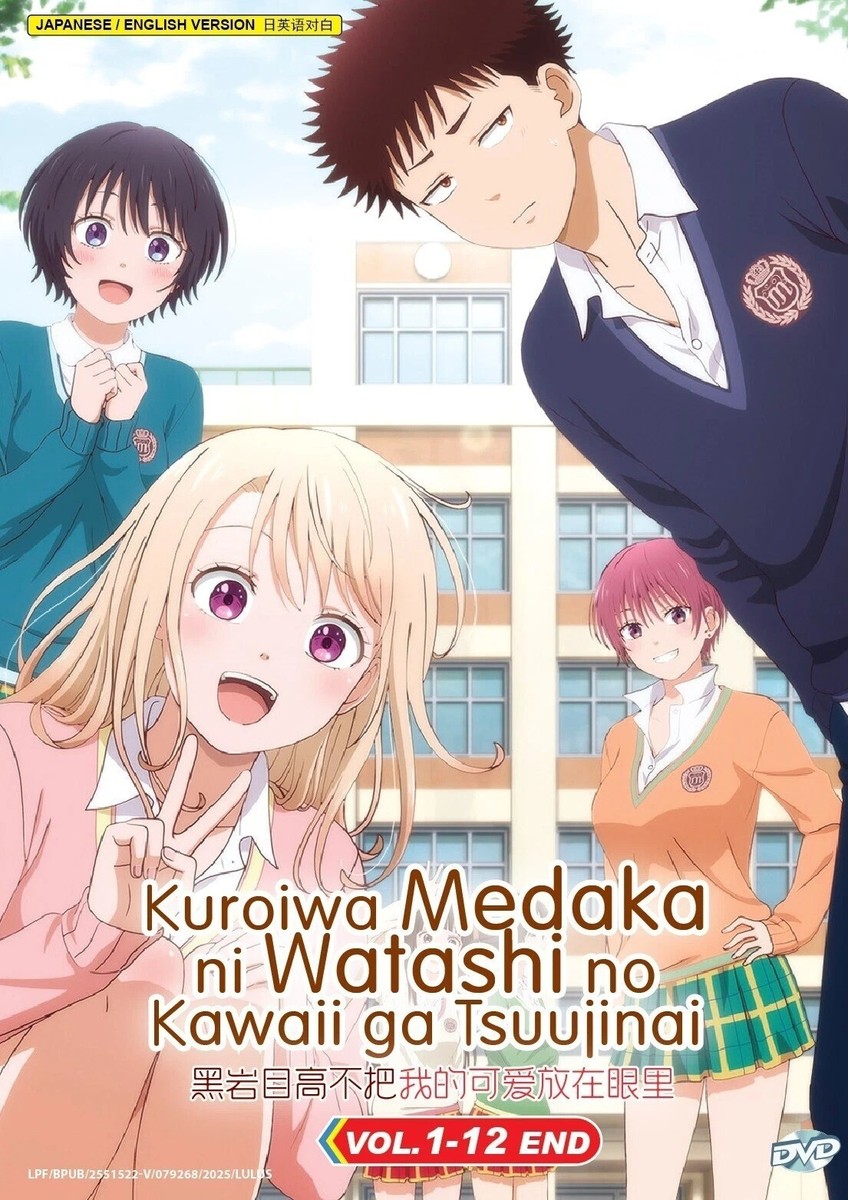 はね駒 DVD BOX １２ Kenka Dokugaku (Viral Hit) Series (1-12 End) Anime DVD [English