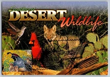 #3293d Sonoran Desert Gambel Quail Maxi Card w/Pictorial Cancel