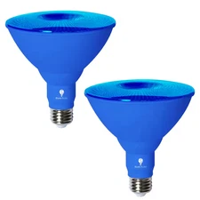 120-Watt Equivalent PAR38 Decorative LED Light Bulb in Blue (2-Pack)