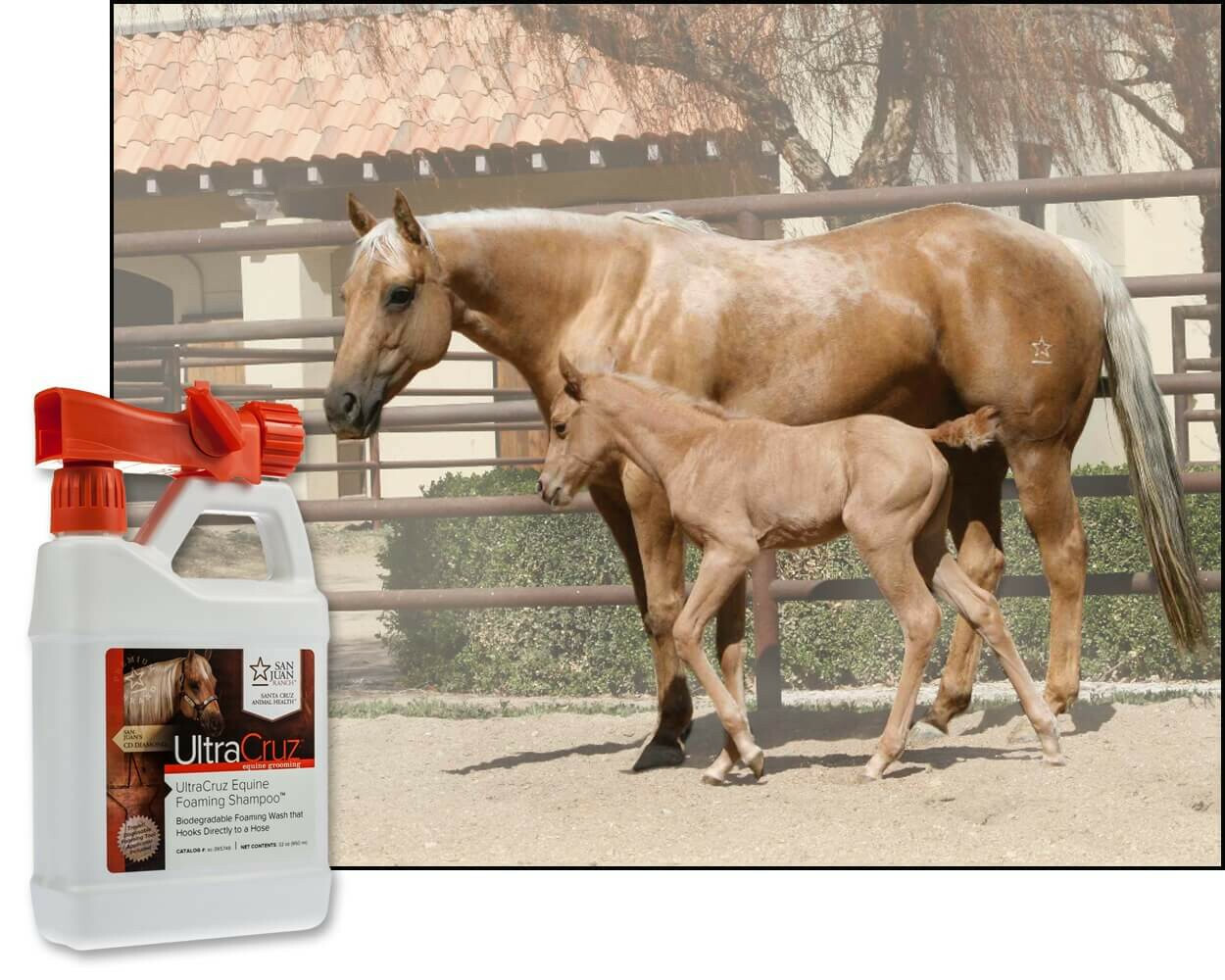 UltraCruz Equine Foaming Horse Shampoo with Travel Applicator, 32 oz