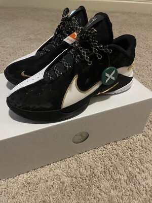 Size 10 - Nike LeBron 22 Mogul