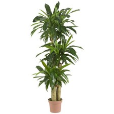 Nearly Natural Corn Stalk Dracaena Artificial Plant (Real Touch)