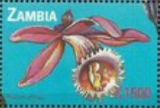 Zambia #Mi1149 MNH 2000 Pleione Alishan 872f