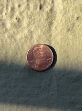 2017 Penny
