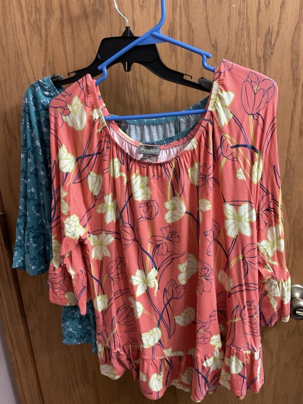 Lot Of Two Ladies Style And Company Tops Size XL