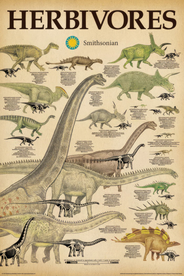 Dinosaurs - Educational Poster (Smithsonian - The Herbivores) (Size: 24" x 36")