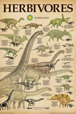 Dinosaurs - Educational Poster (Smithsonian - The Herbivores) (Size: 24" x 36")