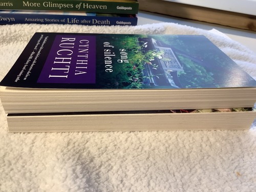 2 CYNTHIA RUCHTI BOOKS THEY ALMOST ALWAYS COME HOME & SONG OF SILENCE GUIDEPOSTS - Imagen 6 de 8