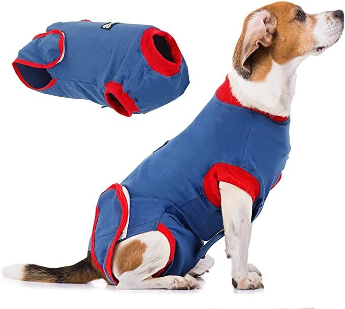 Surgical suit store for dogs