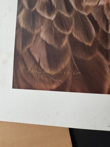“Golden Eagle” Wildlife Bird Print By Nolan Haan S/N LE 430/650 - Picture 3 of 13