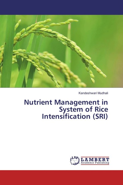 Kandeshwari Mudhali | Nutrient Management In System Of Rice Intensification...-image