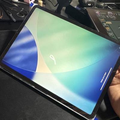 Apple iPad Pro Lcd Replacement Part A1980 Space Gray | eBay