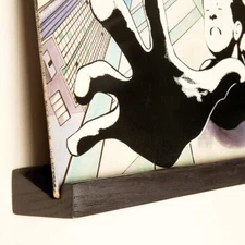 Black Vinyl Record Shelf Wall Mount Solid Oak Slim Elegant Design Easy Install