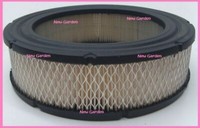 Luftfilter AufsitzmäHer RasenmäHer Vanguard 380 Briggs & Stratton 692519 192026