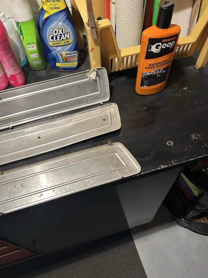 Dodge Pickup/Ramcharger Door Panel Inserts - Image 3 of 4