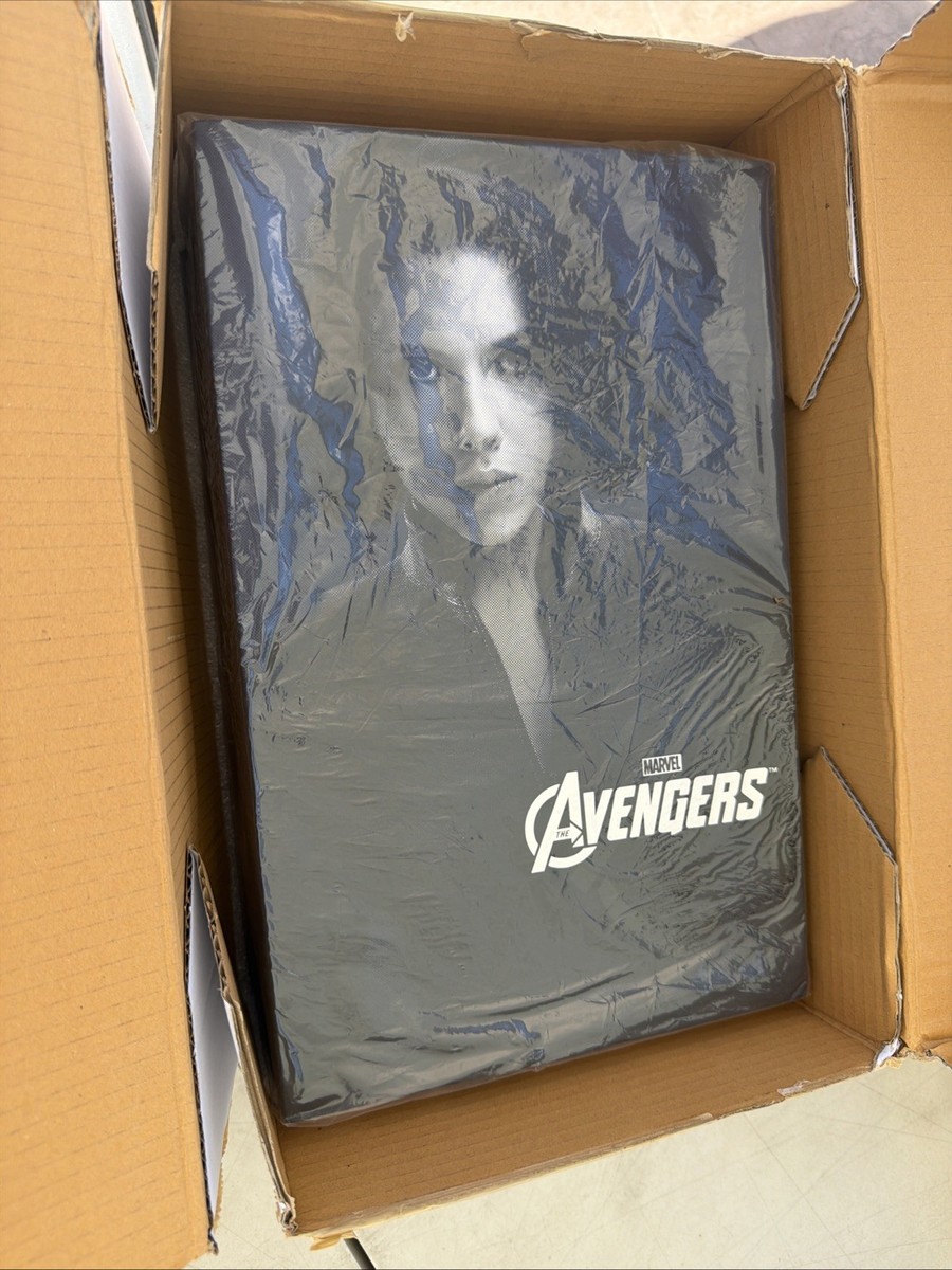 Hot Toys MMS178 The Avengers 1/6th Scale Black Widow Action Figure