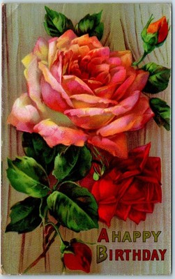 1910s Happy Birthday Embossed Greetings Postcard Pink Red Roses