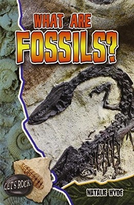 WHAT ARE FOSSILS (LET'S ROCK!) By Natalie Hyde *Excellent Condition*