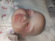 Brand New Genuine Bountiful Baby Reborn Bella with extra outfit