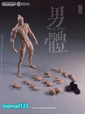US Romankey X COWL 1/12 Pale Male 6'' Action Figure Joint Body Doll Model &Head