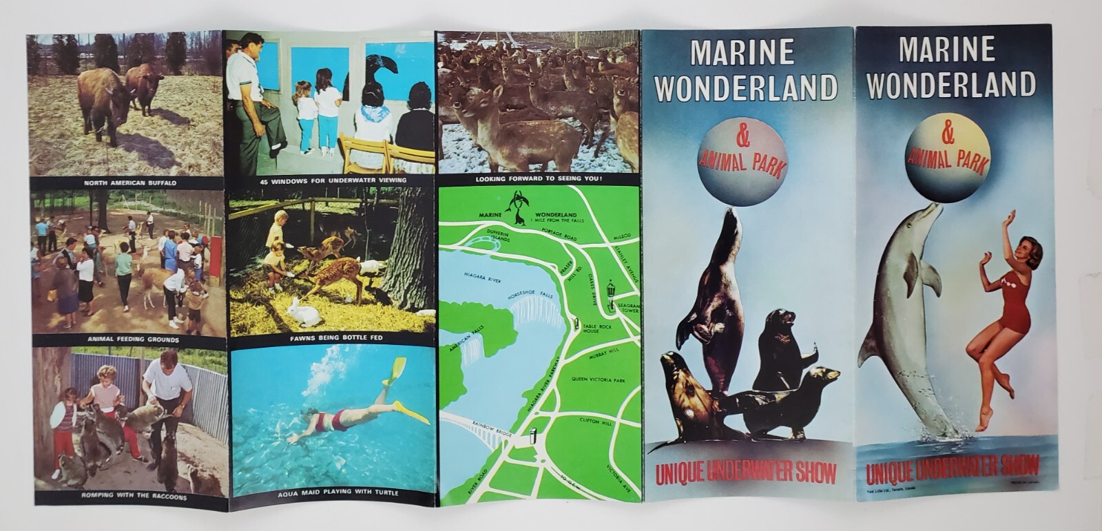 1960s Niagara Canada Marine Wonderland Animal Park Vintage Travel Brochure