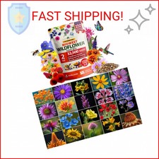 HOME GROWN 32,500+ Midwest Wildflower Seeds 2oz 15 Varieties – Annual & Perennia 135.44 per gallon