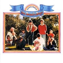 Sunflower / Surfs Up von The Beach Boys | CD | Zustand gut
