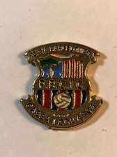 PIN - Barca Gold Pbcic Cassa I Comarca - 2