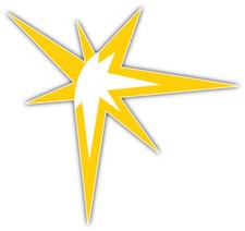 Tampa Bay Rays MLB Baseball Sport Logo Car Bumper Sticker Decal "SIZES"