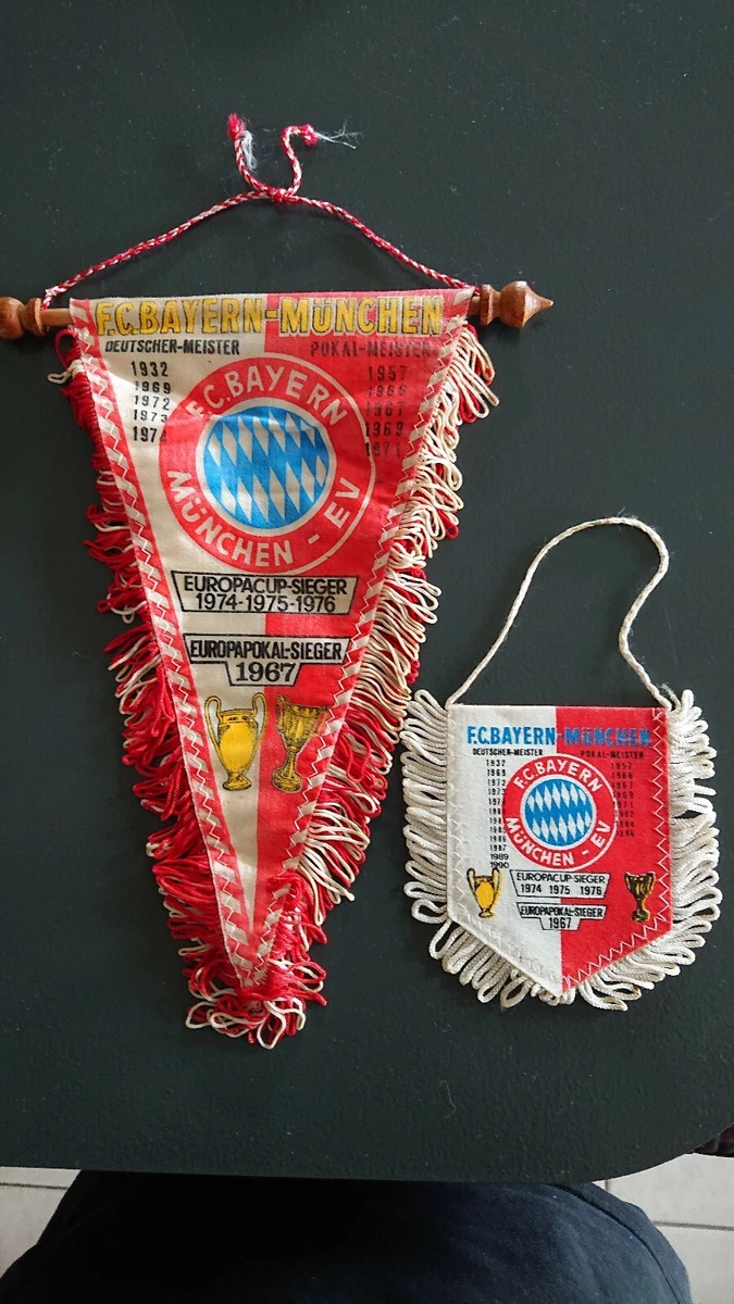 Fanion De Voiture En Tissu Paderborn, état Neuf – Pour Supporter Ton Club Allemand !