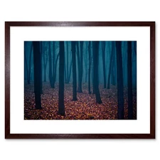 Nature Photo Forest Trees Autumn Floor Framed Art Print Poster 12x16 Inch