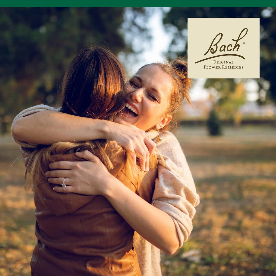 Bach Original Flower Remedy Holly 20ml Emotional Wellness Natural Essence - Image 4 of 4