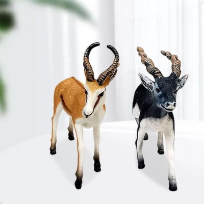 2 Stück Antilope Springbock Hirsch Figuren pädagogisches Miniaturmodell für Alter