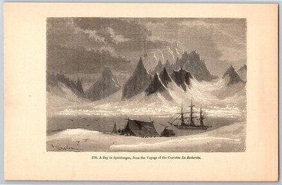 1882 Antique Print Engraving on Wood -Bay in Spitzbergen Voyage of Corvette Ship
