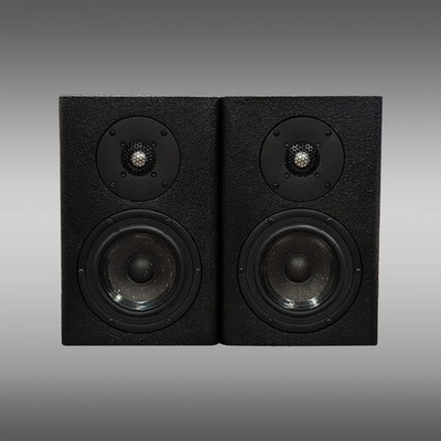 SEAS 150mm Reed Paper Woofer Speakers built by Von Hertzog at The Social Club
