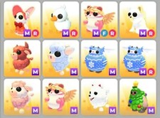 Mega Pets | MFR | M | Adotta Ora | Economico