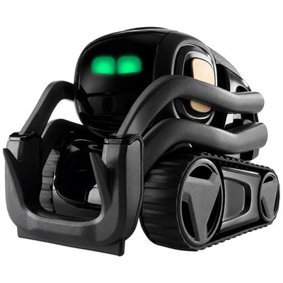Smart Autonomous Home Robot - ChatGPT Subscription Required