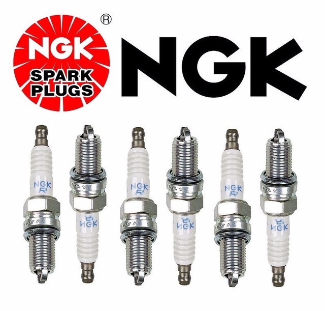 For 6pcs X NGK For BMW E46 M3 E36 Z3 Roadster Spark Plugs Double