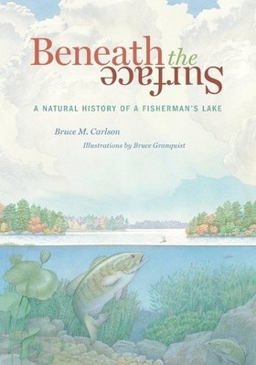 Bruce M Carlson Beneath the Surface (Paperback)