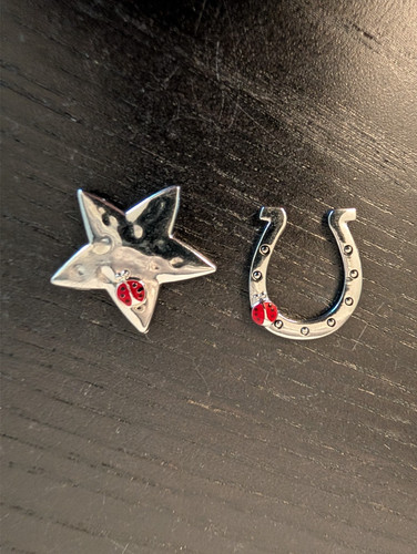 (2) GANZ TWICE THE LUCK LADYBUG on LUCKY HORSESHOE and STAR POCKET CHARMS