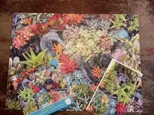 Randy Wollenmann SUCCULENTS Cactus Ceaco 300 pc Puzzle Complete Plants Gardening