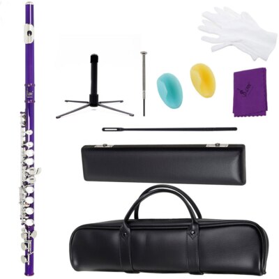 Woodwind Instrument with Case Flute Nickel Plated 16Hole C Key Cupronickel Flute