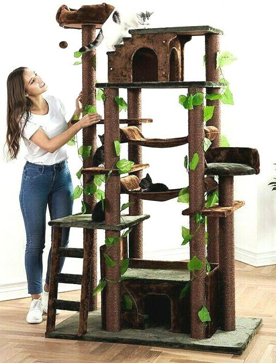 cat tree cheap free shipping