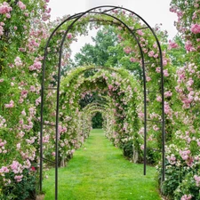 Heavy Duty Metal Garden Arch Rose Archway Pergola Arbour Climbing Plants Trellis