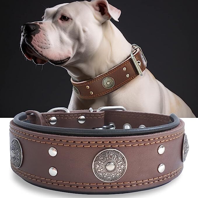 Leather Dog Collar inches Wide Heavy Duty Genuine Leather