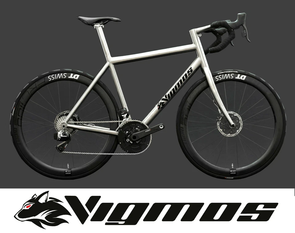 Vigmos Diva Titan Unikat Etap disc vollintegriert Rennrad bici worlds best