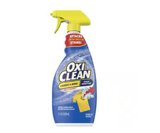 Laundry Fabric Stain Remover Spray, 21.5 fl.oz.