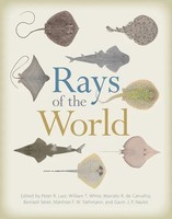 Peter Last (U. A.) | Rays Of The World | Buch | Englisch (2017) | Comstock PUB