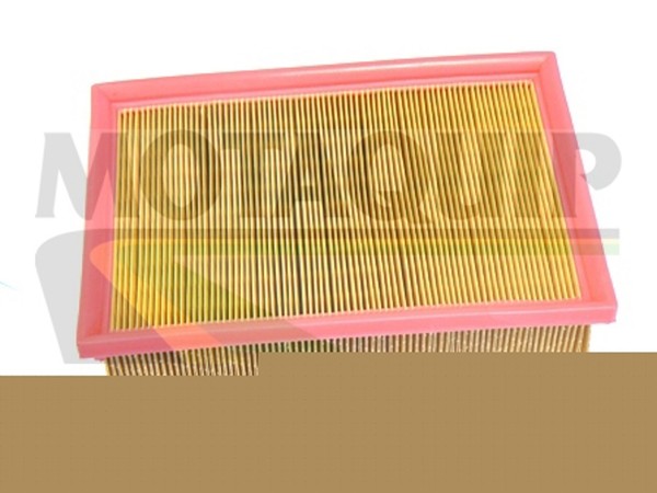 Motaquip Luftfilter VFA1132 Filtereinsatz FüR Peugeot 307 CC 3B 3A 308 1 Break-image