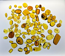A101 BU97group 97 polished stones w/insects 144g Burmese Amber Burmite 99mya